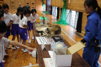 pict-IMG_2410