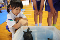 pict-IMG_2438