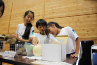 pict-IMG_2442