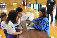 pict-IMG_3318