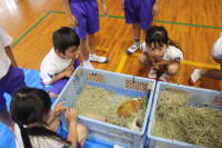 pict-IMG_3422