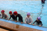pict-IMG_2921