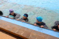 pict-IMG_2923