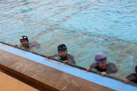pict-IMG_2924