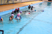 pict-IMG_2937