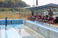 pict-IMG_1343