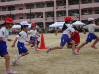 DSC07461
