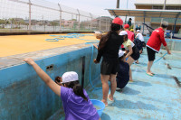 pict-IMG_1801