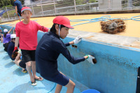 pict-IMG_1803